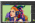 CorelDRAW Graphics Suite 2024 - Licena Vitalcia